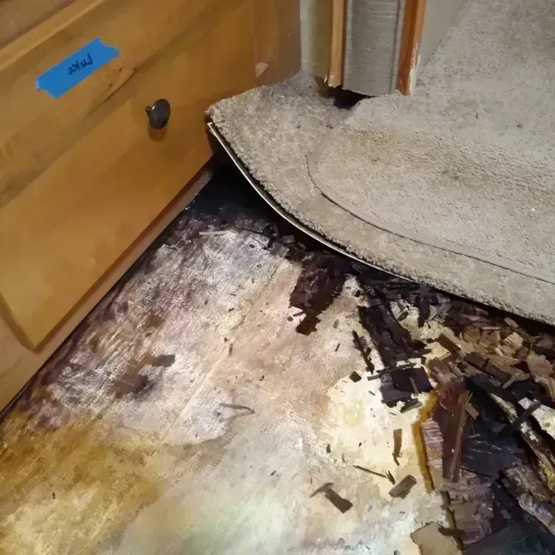 Wood Floor Water Damage in Saint Paul, MN